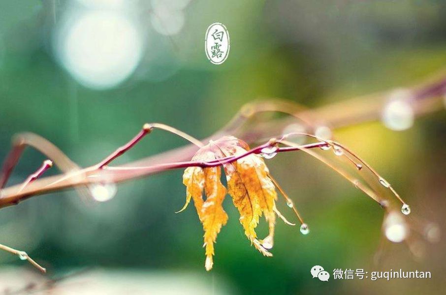 古琴曲洞庭秋思_古琴洞庭秋思视频_古琴曲洞庭秋思